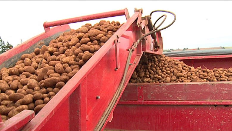 P.E.I. doesn't have a potato shortage, says agriculture minister