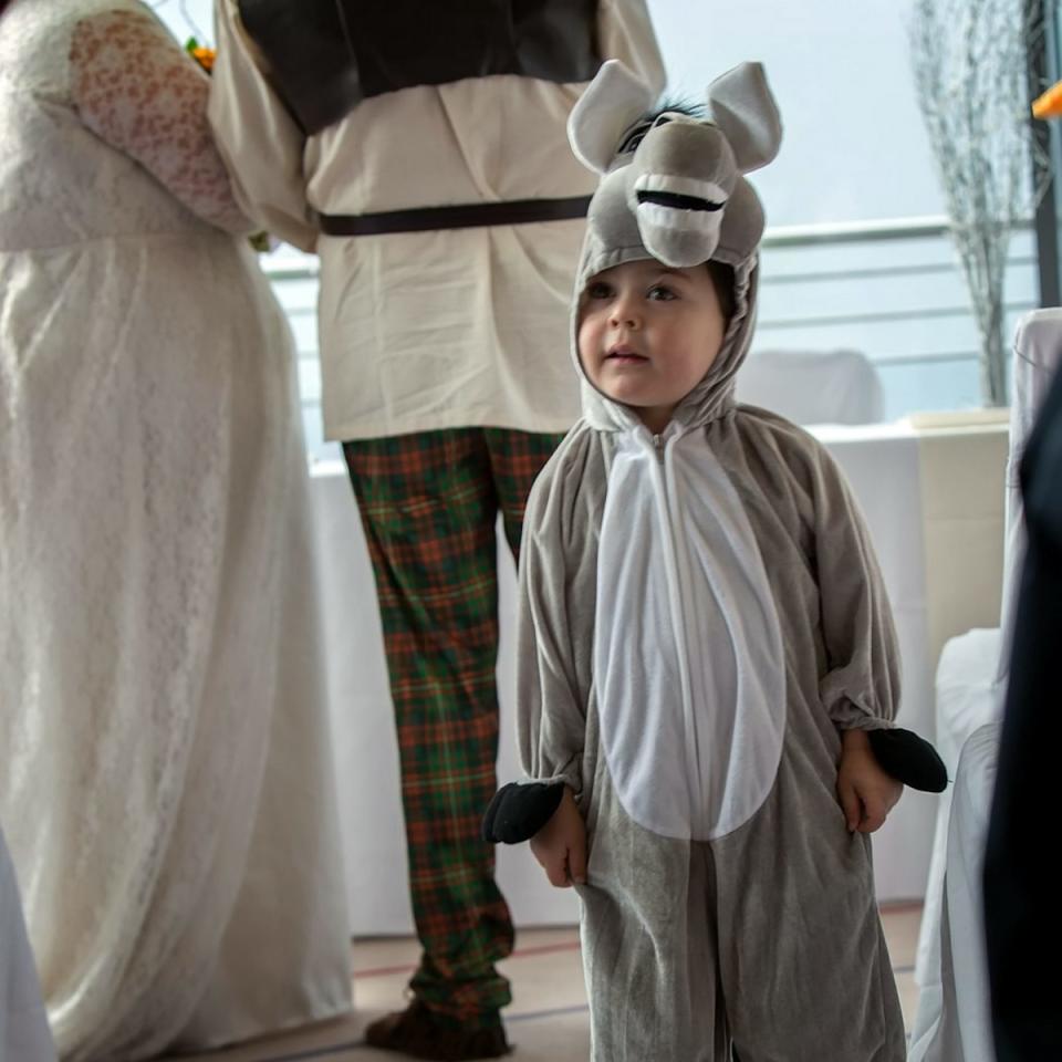 <div class="caption-credit"> Photo by: SWNS</div>The couple's son Leo, 4, dressed as Donkey, Shrek's best friend.