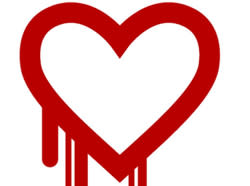 Heartbleed heart