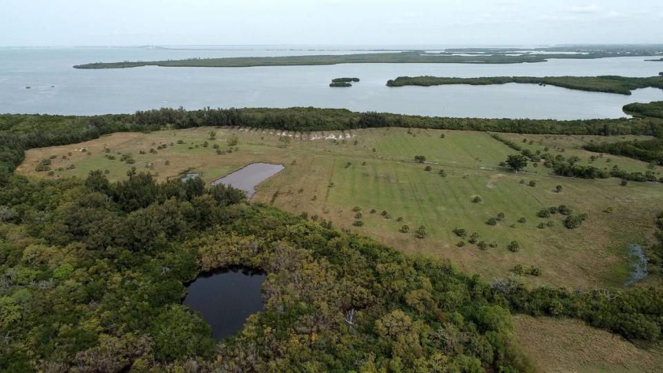 The Environmental Lands Management and Acquisition Committee advised Manatee County Government to purchase 98 acres next door to Emerson Point Preserve in Palmetto. Tiffany Tompkins/ttompkins@bradenton.com