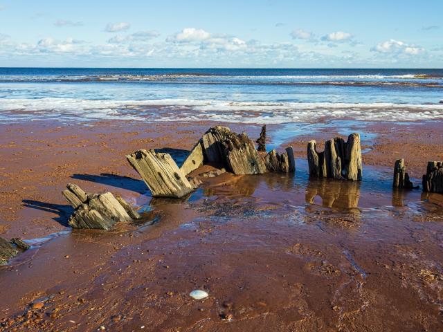 It was crazy': What appears to be the remains of an old ship