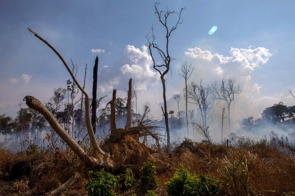 View of a burnt area after a fire in the Amazon rainforest near Novo Progresso, Para state, Brazil, on Aug. 25, 2019. (Photo: Joao Laet/AFP/Getty Images)