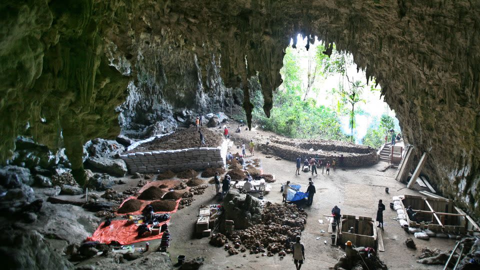 The Liang Bua cave excavation site, where the fossils of Homo floresiensis were discovered on the island of Flores in Indonesia. - Achmad Ibrahim/AP