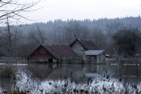 Flood waters of the Snoqualmie River surround a structure off State Route 203 during a storm in Carnation, Washington December 9, 2015. REUTERS/Jason Redmond