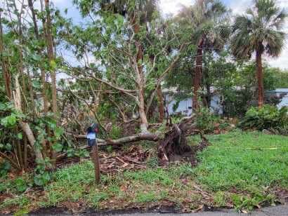 Storm damage reported in Satellite Beach