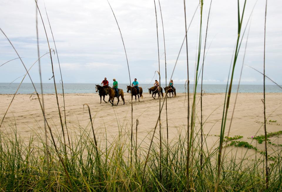 Each year, from Nov. 1 through March 30 between the time of 6 a.m. to 5 p.m., individuals are allowed to partake in horseback riding on Ocean City, Maryland's, 10 mile stretch of beach.