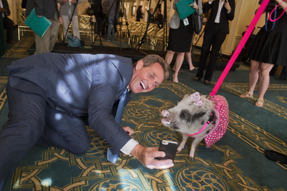 May 13, 2015 — 2015 Congressional Pig Book release