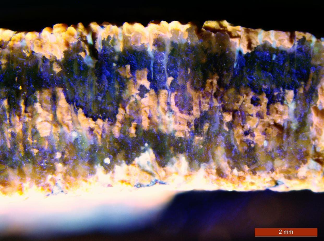 A dinosaur eggshell cross section, as imaged under fluorescence microscopy. Evan Saitta