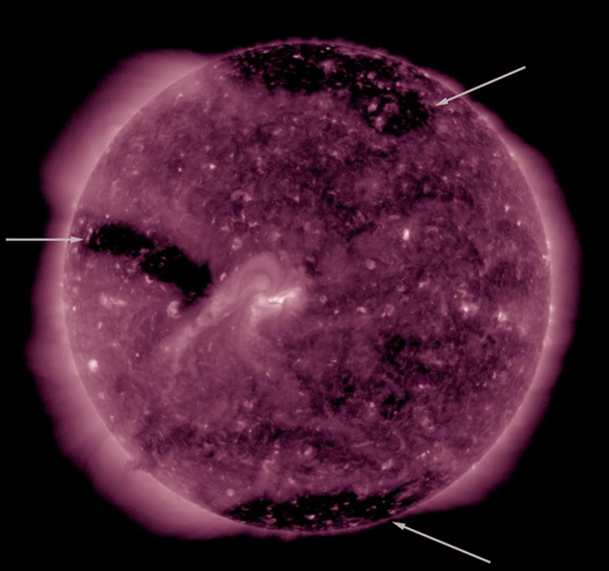 Three coronal holes (Picture NASA)