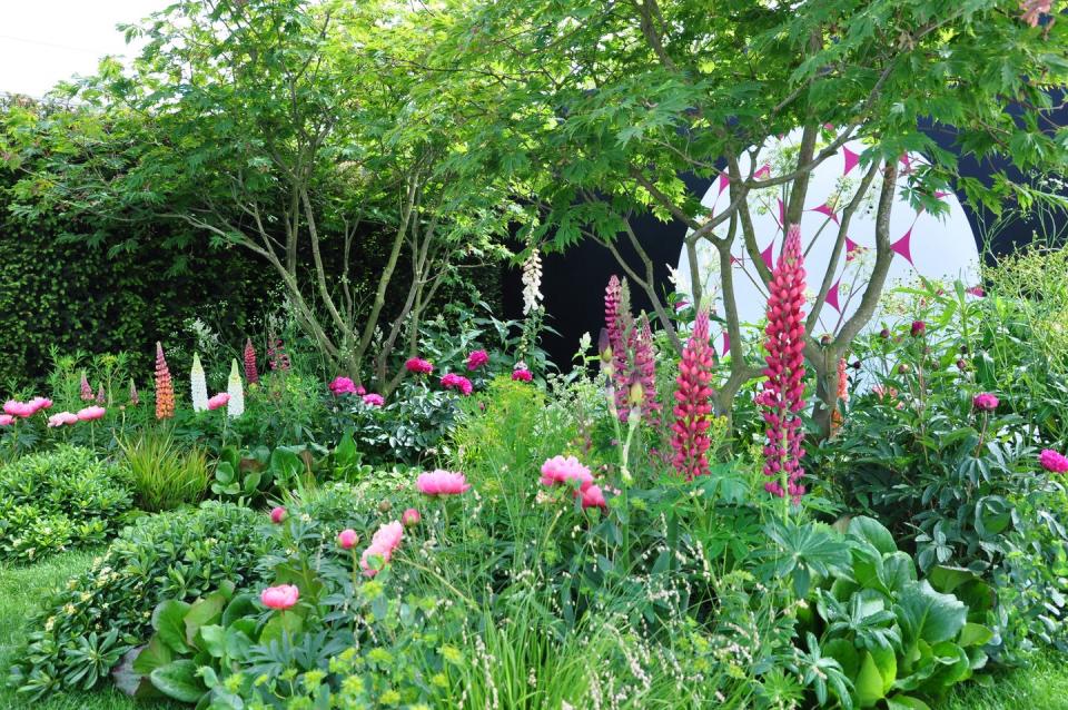 <p>In the midst of the Coronavirus pandemic, the Chelsea Flower Show was cancelled in 2020 for the first time since the Second World War. In its place, the RHS website became host to the Virtual Chelsea Flower Show, sharing free, inspiring content online from the gardening world. The aim was to 'share the joy of gardening' with the nation through collaborations with growers, designers, landscapers and trade stands. With the pandemic ongoing, a second virtual show took place the following year in May 2021.</p><p><strong>READ MORE: <a href="https://www.housebeautiful.com/uk/garden/a27598243/chelsea-flower-show-2020/" rel="nofollow noopener" target="_blank" data-ylk="slk:Chelsea Flower Show 2020 virtual show;elm:context_link;itc:0;sec:content-canvas" class="link ">Chelsea Flower Show 2020 virtual show</a></strong></p>