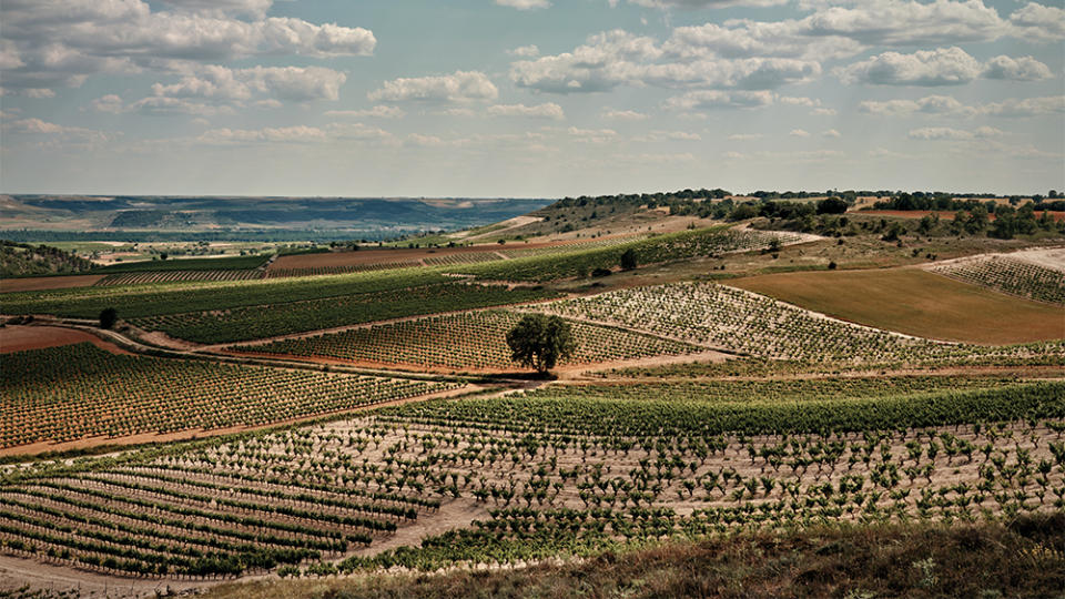 A view from the highest point in Ribero del Duero, near the Bodegas Emilio Moro winery.