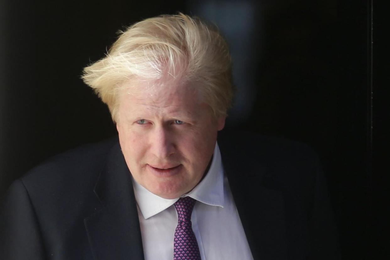 Set for election battle: Foreign Secretary Boris Johnson: AFP/Getty Images