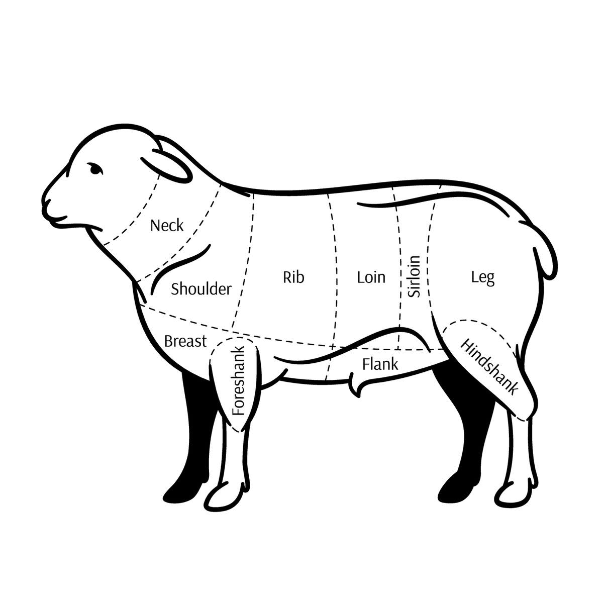 Cuts of Lamb