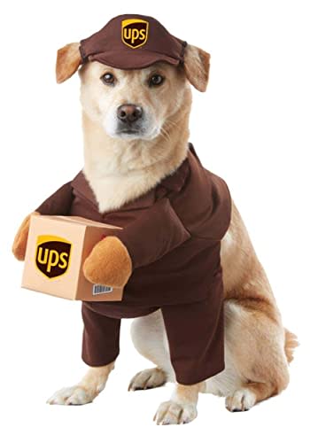 get your paws on these adorable petfriendly halloween costumes