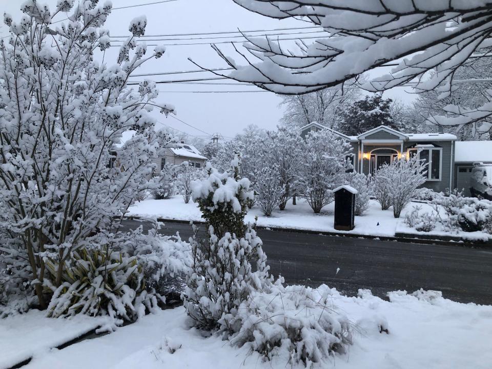 7:00 a.m. A blanket of snow sticks to the trees in Neptune Township