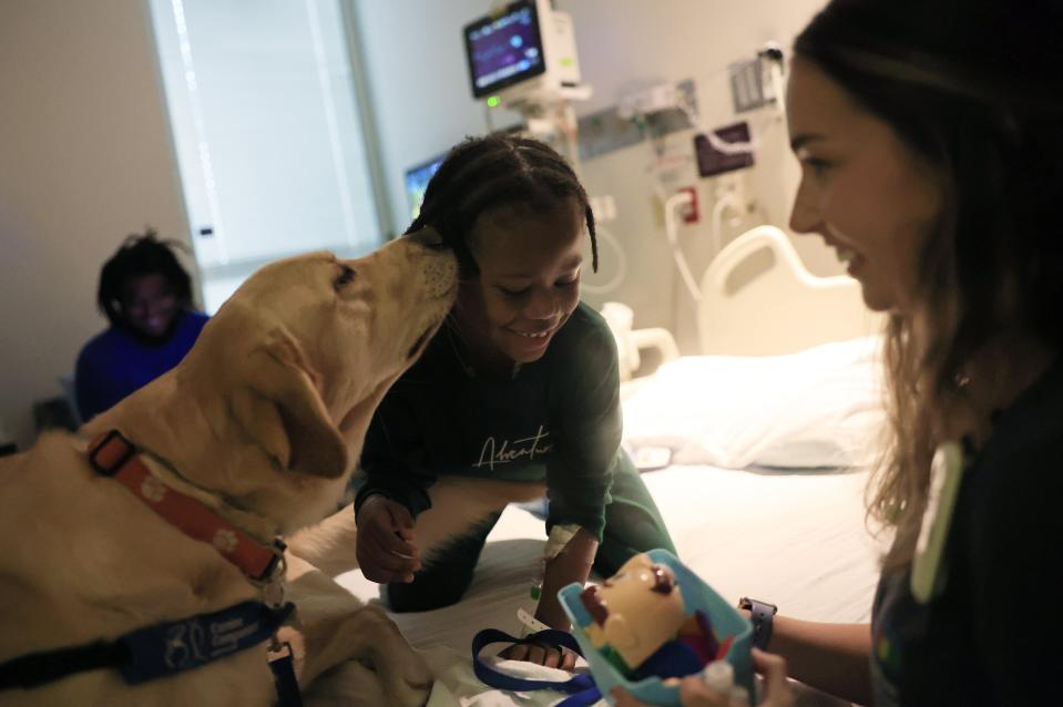 From left, Jude, a 2-year-old Golden Retriever/Lab mix gives kisses to Nigel Ridgeway Jr., 5, as handler/child life specialist Kara Williams looks on Wednesday, Jan. 24, 2024 at Wolfson Children’s Hospital in Jacksonville, Fla. Patients at the hospital are benefiting from a new four-legged member of the Family Support Services care team, Jude. With child life specialist Kara Williams they provide therapeutic interventions and joy during pediatric patients’ stay. [Corey Perrine/Florida Times-Union]