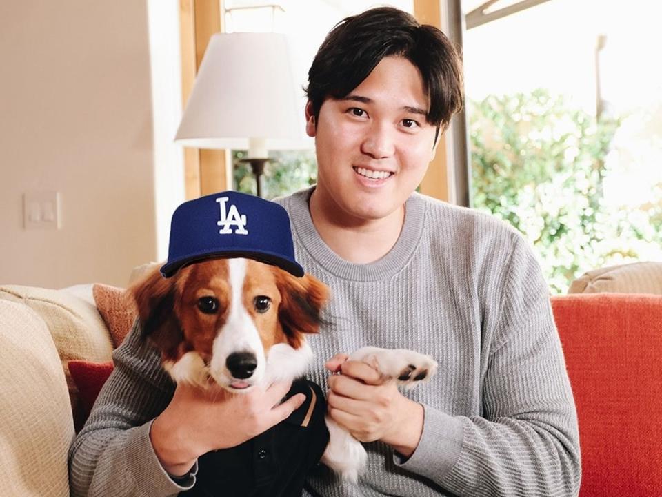 大谷翔平加盟道奇，MLB也將他與愛犬合照逗趣加上道奇球帽。（圖：IG）