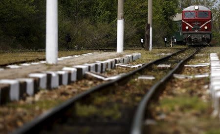 A train arrives at Varvara railway station, Bulgaria April 28, 2015. REUTERS/Stoyan Nenov