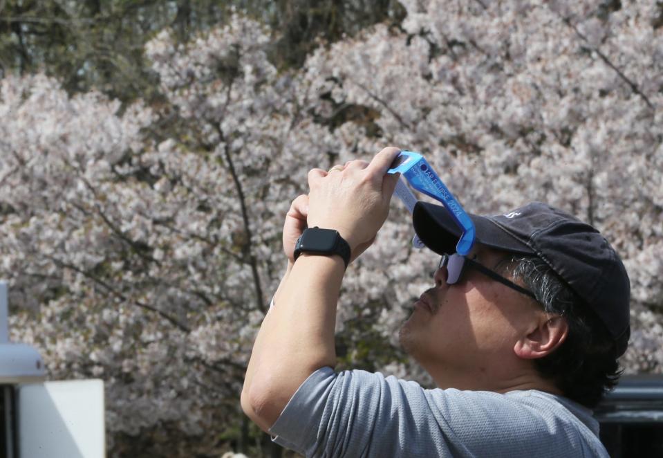 A man named Andrew who traveled to Ohio from Maryland uses solar glasses Monday with his cell phone to photograph the eclipse at the downtown Akron Eclipse With Us party, with cherry blossoms blooming along the canal behind him.