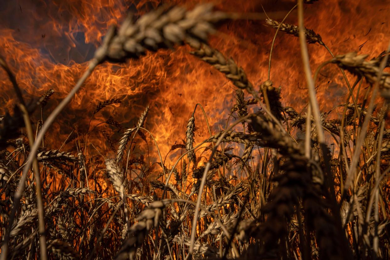 A wheat field burns after Russian shelling in a few kilometres from Ukrainian-Russian border in the Kharkiv region, Ukraine, on Friday.