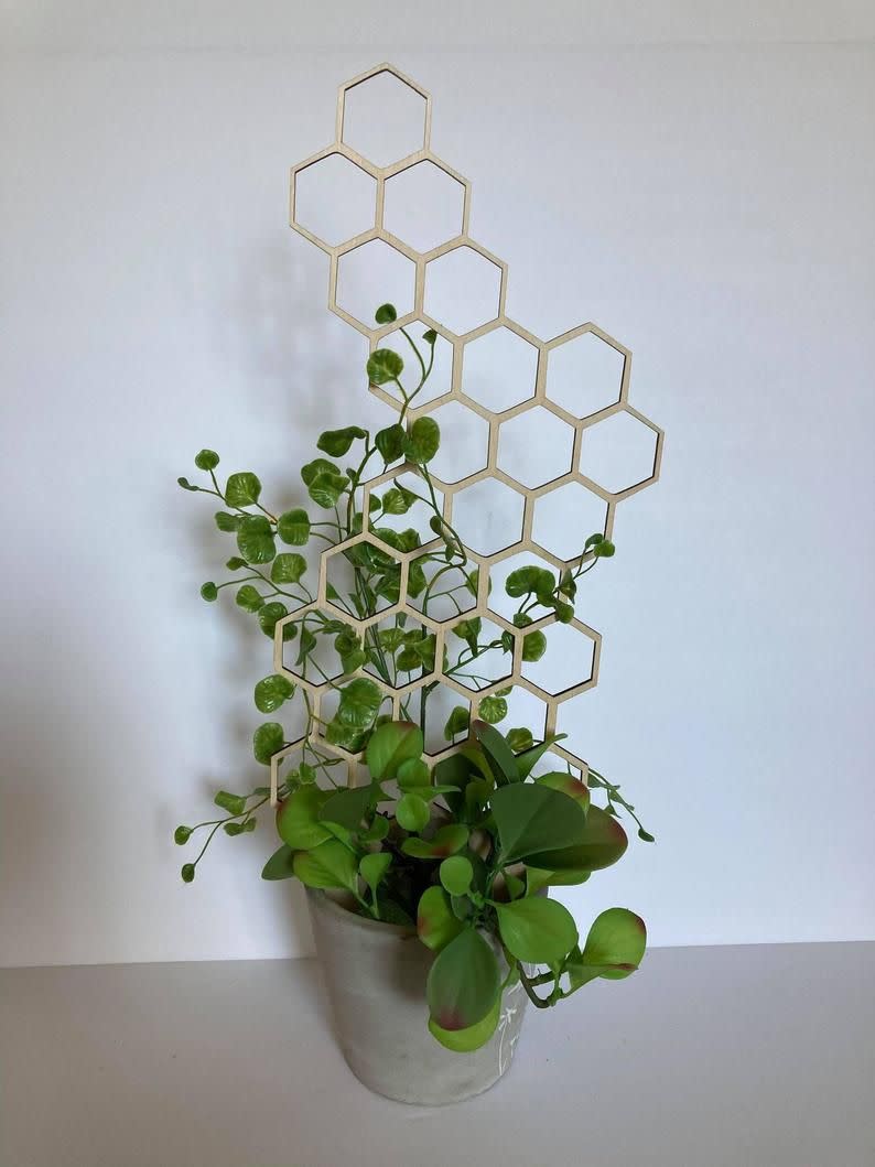 22) Honeycomb Houseplant Trellis