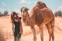 <p>In Dubai as well as elsewhere in the United Arab Emirates, camels are an important symbol and are respected highly in traffic laws. If a camel is spotted on the road, it always has the right of way, and it’s wise to give them a wide berth.</p>