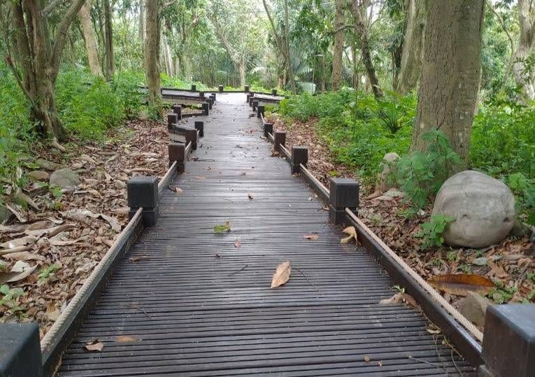 ▲台中後花園美名「大坑風景區」近日將舊有木棧道修繕完成。(圖／觀旅局提供2020.8.22)