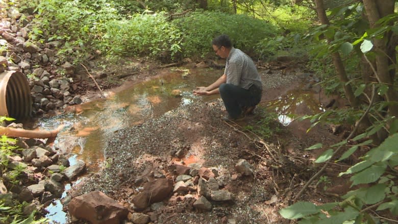 Runoff damage at Cornwall bypass project minimal, says province