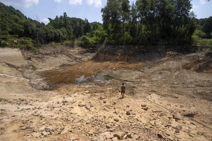 Gan Bingdong walks through the basin of a community reservoir near his farm that ran nearly empty after its retaining wall started to leak and hot weather and drought conditions accelerated the loss of water, in Longquan village in southwestern China's Chongqing Municipality, Saturday, Aug. 20, 2022. Drought conditions across a swathe of China from the densely populated east across central farming provinces into eastern Tibet have "significantly increased," the national weather agency said Saturday. The forecast called for no rain and high temperatures for at least three more days from Jiangsu and Anhui provinces northwest of Shanghai, through Chongqing and Sichuan in the southwest to the eastern part of Tibet. (AP Photo/Mark Schiefelbein)