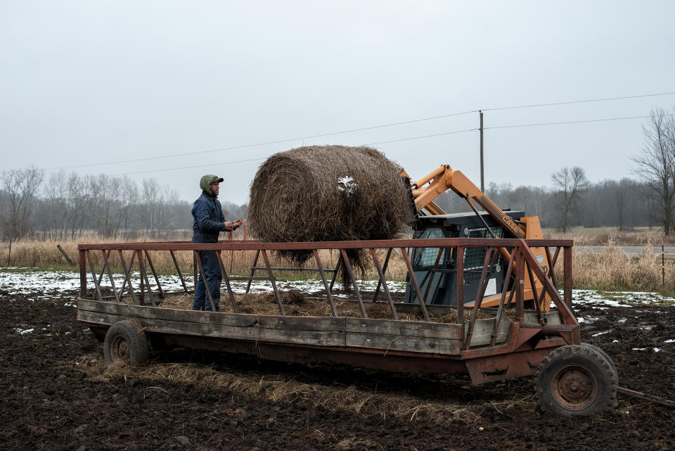 Steven Rieckmann loading a bale of hay on Nov. 20, 2019. | Jason Vaughn for TIME