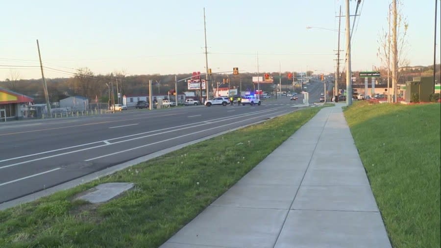 Gallatin Pike pedestrian crash