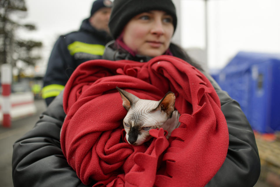 A refugee holds her cat, wrapped in a blanket. 