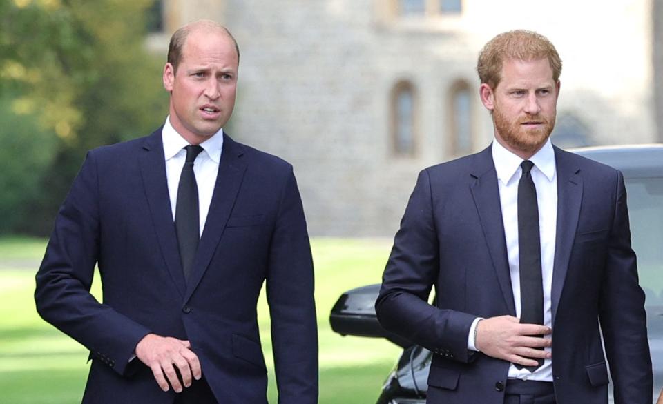 Prince William and Prince Harry at a walkabout at Windsor Castle on September 8, 2022.