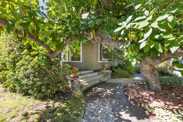 An exterior view of the house and its large avocado tree.