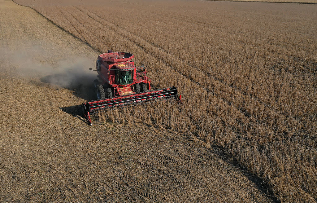 An aerial view from a drone shows a combine being used to harvest the soybeans in a field at the Bardole & Sons farm on Oct. 14, 2019, in Rippey, Iowa. (Photo by Joe Raedle/Getty Images)