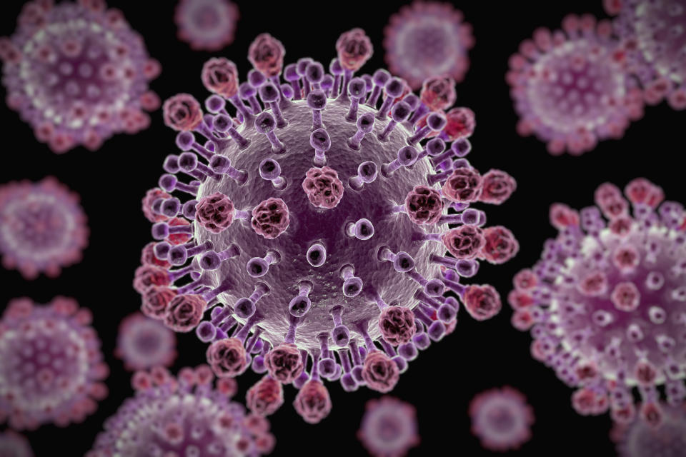 Photo of the flu virus which has killed 26 people in Victoria this year. 