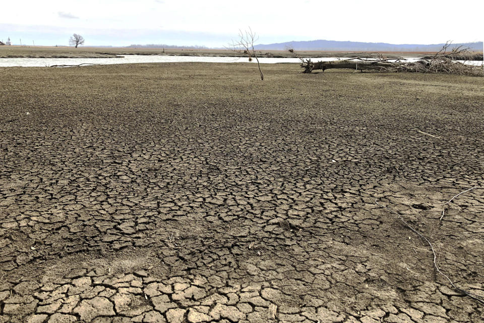 This photo taken March 12, 2020, near Rock Port, Missouri, shows once-productive farmland that was ruined after a Missouri River flood blew open part of an earthen levee and inundated the area in 2019. The landowner is among several in the area who have offered to sell about 500 acres so the levee can be moved farther back, giving the river more room to roam. Levee setbacks are among measures being taken in the U.S. heartland to control floods in ways that work with nature instead of trying to dominate it with concrete infrastructure. (AP Photo/John Flesher)