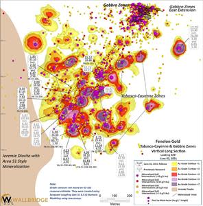 Fenelon Gold, Tabasco-Cayenne-Gabbro Zones Long Section