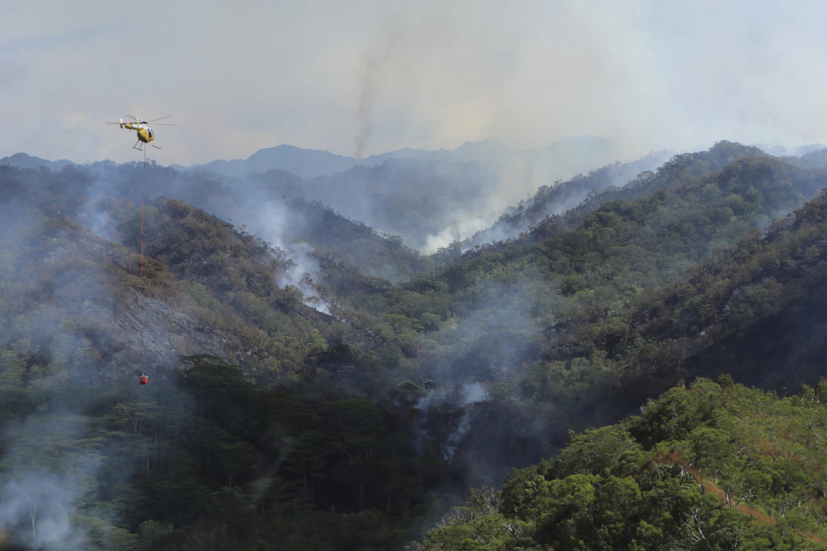 Devastating Wildfire Engulfs Oahu’s Precious Rainforest in Hawaii