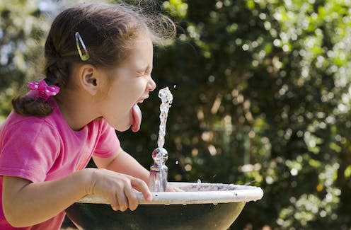   <span class="attribution"><a class="link " href="https://www.shutterstock.com/image-photo/young-girl-drinking-fountain-31243570" rel="nofollow noopener" target="_blank" data-ylk="slk:Stephen Denness/Shutterstock;elm:context_link;itc:0;sec:content-canvas">Stephen Denness/Shutterstock</a></span>