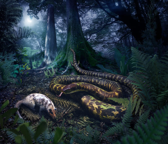 An artist's interpretation of an ancestral snake that had small hind limbs, lived in the damp forest and ate small animals.