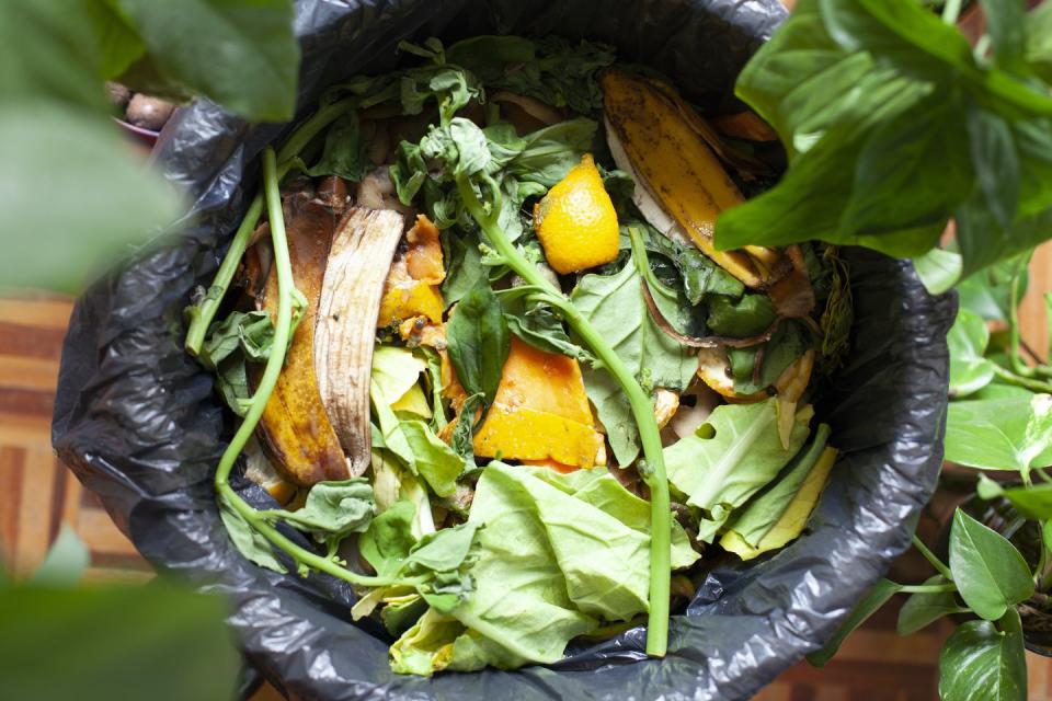 organic food in compost container with fruits vegetables and greens