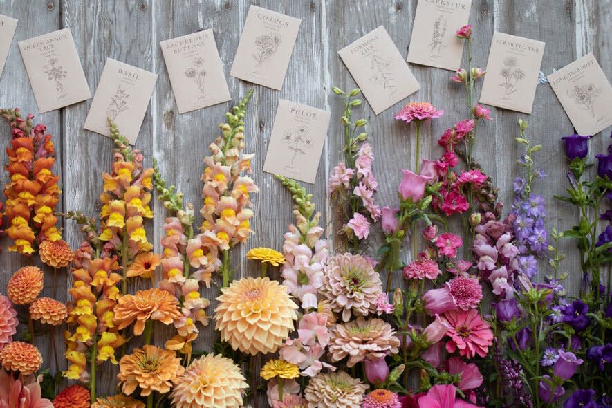 arrangement of seeds and flowers on wood table