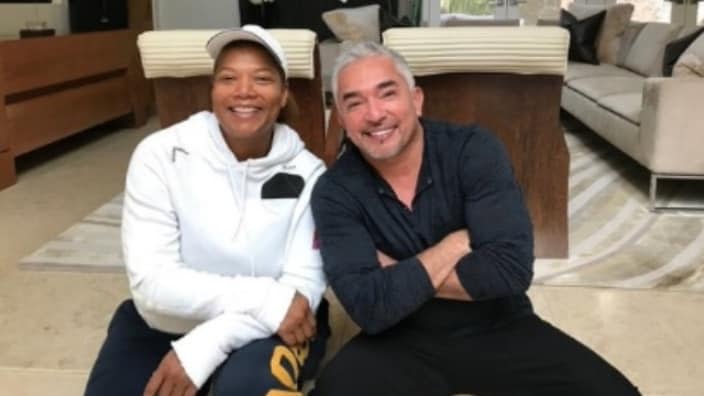 Queen Latifah Cesar Millan thegrio.com 