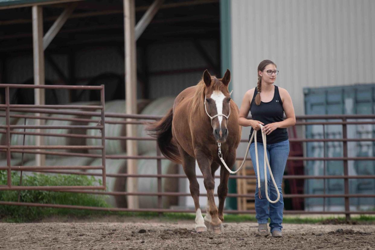 Titus, who is 23 years old, is accustomed to his new owner Maple Hill resident Samantha Schneider. Because of his age, Schneider said Titus will be a companion horse instead of a riding one.