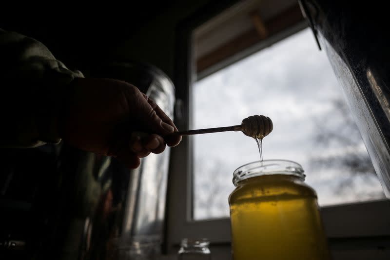 Beekeeper Krisztian Kisjuhasz inspects a jar of honey in Ladanybene
