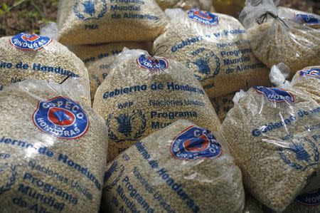 Bags of provisions, donated by the United Nations World Food Programme (WFP) food reserves, are seen during a distribution of food aid to families affected by the drought in the village of Orocuina, August 28, 2014. REUTERS/Jorge Cabrera