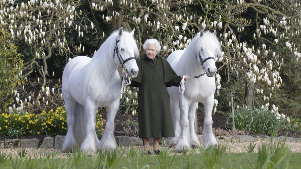 2022: In this photo released by Royal Windsor Horse Show on Wednesday, April 20, 2022, and taken in March 2022, Britain's Queen Elizabeth II poses for a photo with her Fell ponies Bybeck Nightingale, right, and Bybeck Katie on the grounds of Windsor Castle in Windsor.