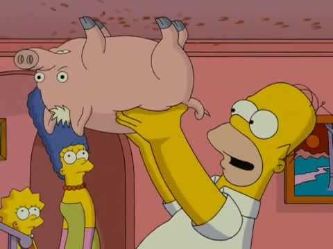 “Spider-Pig, Spider-Pig. Does whatever a Spider-Pig does. Can he swing from a web? No he can't. He's a pig. Look out! He's a Spider-Pig!” (The Simpsons)