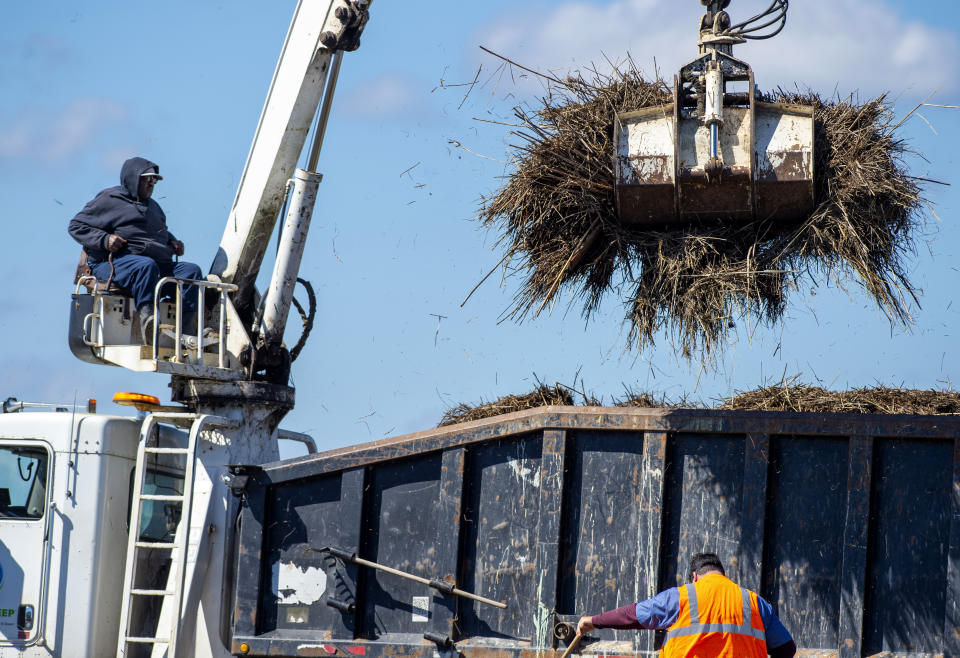 Terrebonne Parish solid waste crews remove marsh grass that washed across La. 56 in Cocodrie, La., during Hurricane Zeta, as residents slowly return to their homes and fishing camps to assess the damage on Thursday, Oct. 29, 2020. (Chris Granger/The Advocate via AP)